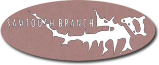 Sawtooth Branch